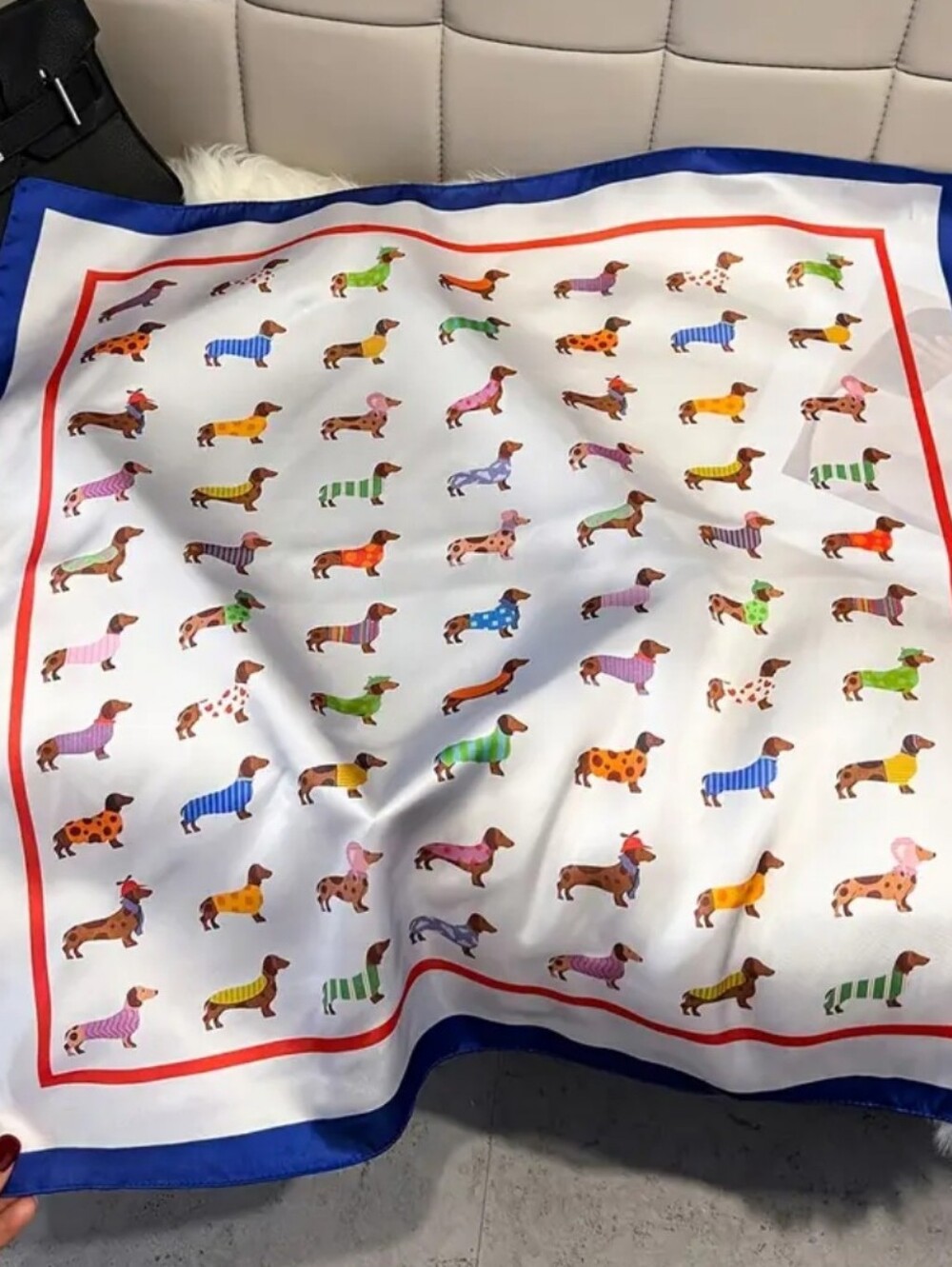 Silk-feel Dog Print Women's Scarf in White with Blue Trim